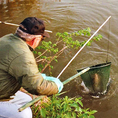Bank Pole Catfish Fishing